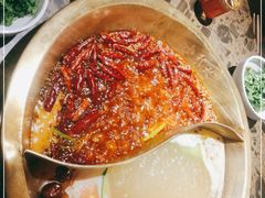 -小龙坎火锅(春熙太古里店)