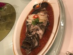 -金轩中餐厅 Jin Xuan(浦东丽思卡尔顿酒店)
