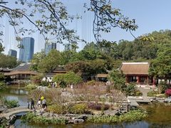 -顺峰山公园