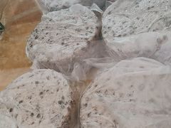 -杨招娣糕点(装驾桥巷店)