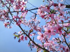 -福建鲤鱼洲酒店