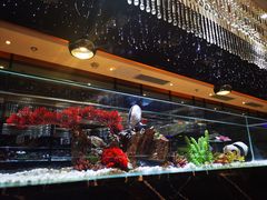 -红辣椒·川菜·火锅(张杨路店)