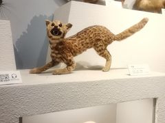 -舟山博物馆