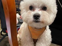 -E+有冰工厂·昆仑寒宫2(五角场店)