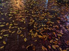 -重庆市奥林匹克体育中心-游泳跳水馆