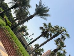 -亚特兰蒂斯水世界冒险乐园