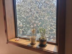 -秀·爱尔兰餐吧(上海路店)