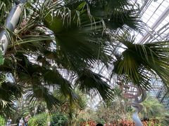 -南山植物园