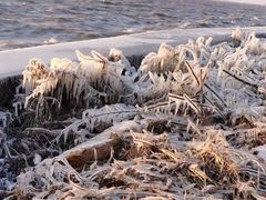 -苏州太湖湖滨国家湿地公园