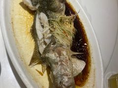 -大鸽饭(马王堆店)