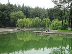 -烟台市博物馆