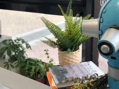 -卖呆儿咖啡(望京店)