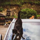 人均300躺进云山竹海‼️这么绝的地方居然沒人知道👀避暑指南