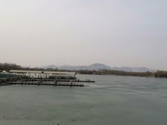 -石家庄市植物园