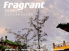 -寻梦滕王阁实景演出