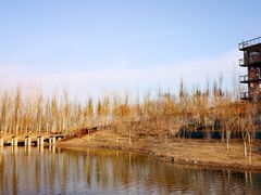 -东郊湿地公园
