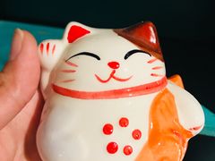 -猫咪博物馆(顶澳仔猫街店)