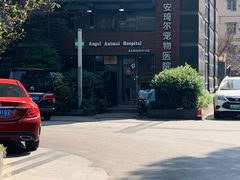 -爱侣·安琦尔宠物医院·中兽医针灸·心内科·狂犬免疫点(宝山区院)