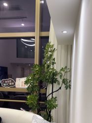 -JNK皮肤管理中心