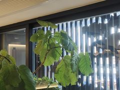 -李清佛跳墙|福建省十大名厨之首(后江埭店)