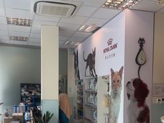 -瑞派申生动物医院·24H夜诊·国际动物医疗中心·骨外科(吴中路店)