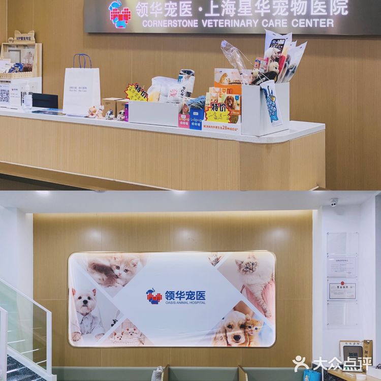 领华宠医·星华宠物医院|医生和环境都非常靠谱的连锁宠物🏥