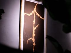 -Echo回声黑胶唱片咖啡馆