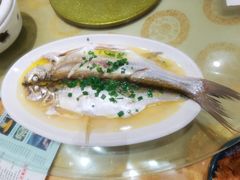 清蒸白水鱼-锡和无锡菜(景丽苑店)