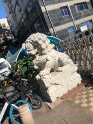 -欧扬医疗美容