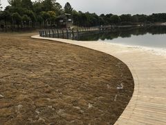 栈道-美兰湖景区