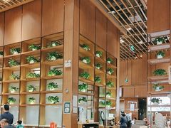 -西贝(华发商都店)