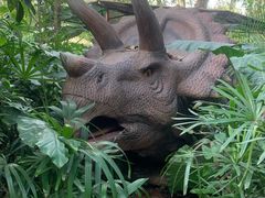-海南热带野生动植物园