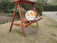 -金山农民画村-枫泾波兰倒置屋