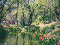 -人民公园(罗湖区)