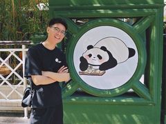 -成都IFS
