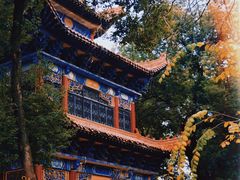 -宝通禅寺