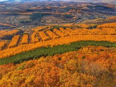 -帽儿山国家森林公园