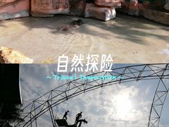 -深圳野生动物园