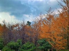 -青岛崂山太清宫
