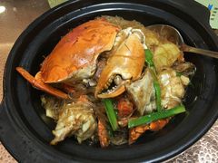 -海王老记