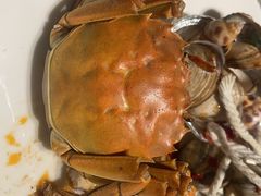 -太湖饭店玉兰厅(自助餐厅)