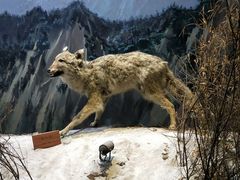 -陕西自然博物馆