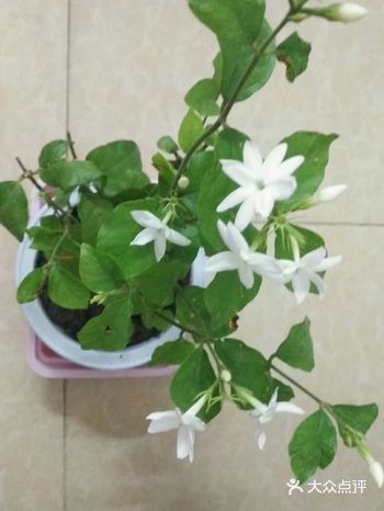 我女朋友留是因为希望好好做下去。只想告诉你们