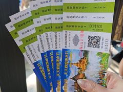 -西双版纳傣族园