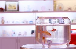 -微笑宝贝儿童摄影(梵华1939店)