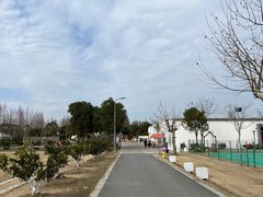 -前小桔亲子创意农场·草莓采摘·露营烧烤