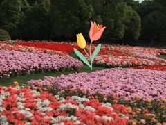 -上海辰山植物园