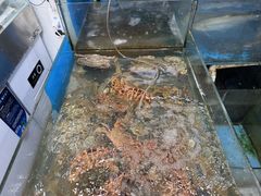 -晓琦农家菜馆·地道农家菜