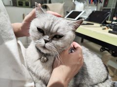 -Oasis绿洲银饰珍珠手作diy(壹方城店)