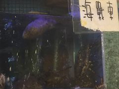 -垦丁辉哥生鱼片